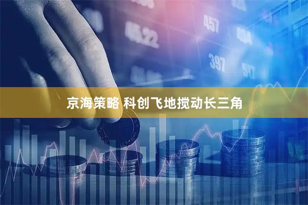 京海策略 科创飞地搅动长三角