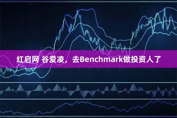 红启网 谷爱凌，去Benchmark做投资人了